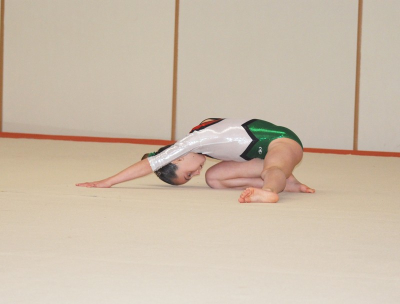 Primera Fase de los JDN de Gimnasia Artística Femenina